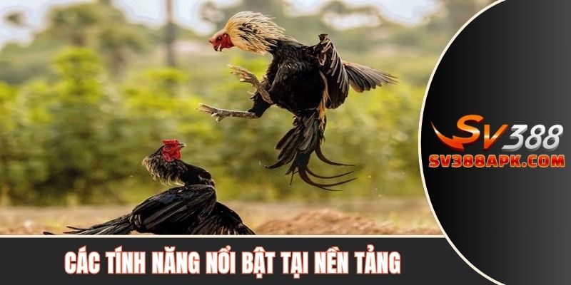 Các tính năng nổi bật tại nền tảng