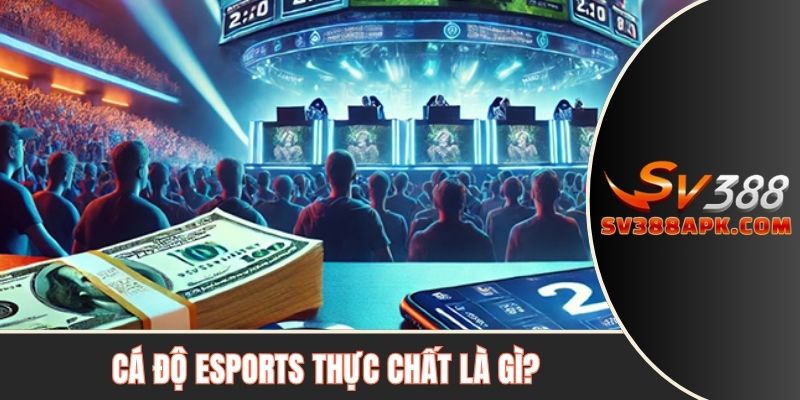 Cá độ Esports thực chất là gì?