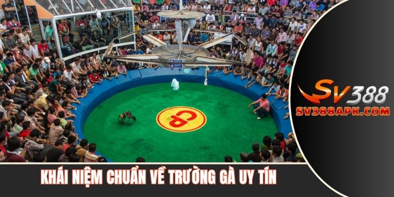 Khái niệm chuẩn về trường gà uy tín