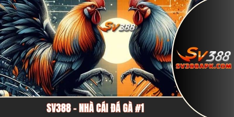 SV388 🐓 Nhà cái đá gà top 1