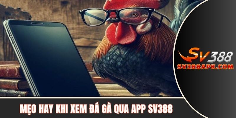 Mẹo hay khi xem đá gà qua app SV388