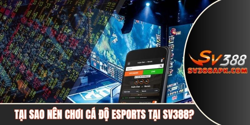 Tại sao nên chơi cá độ Esports tại SV388?